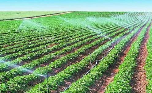 动漫大黑屌肏农田高 效节水灌溉